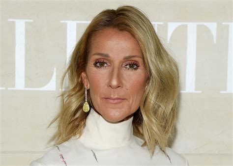 celine dion 2022 cheveux gris|Les cheveux gris de Céline Dion créent la controverse en France.